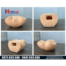 Mô hình thực tập khám phụ khoa