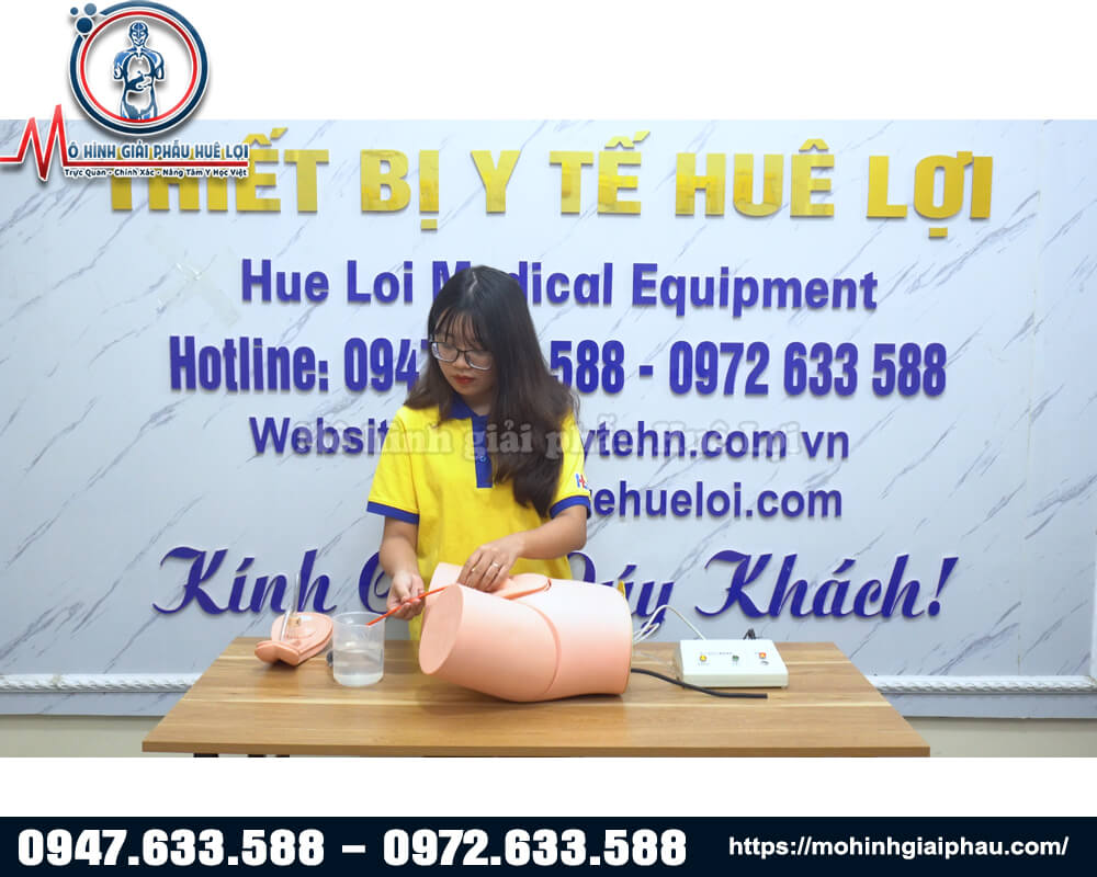 Mô hình thực hành đặt sonde tiểu và thụt tháo nam nữ